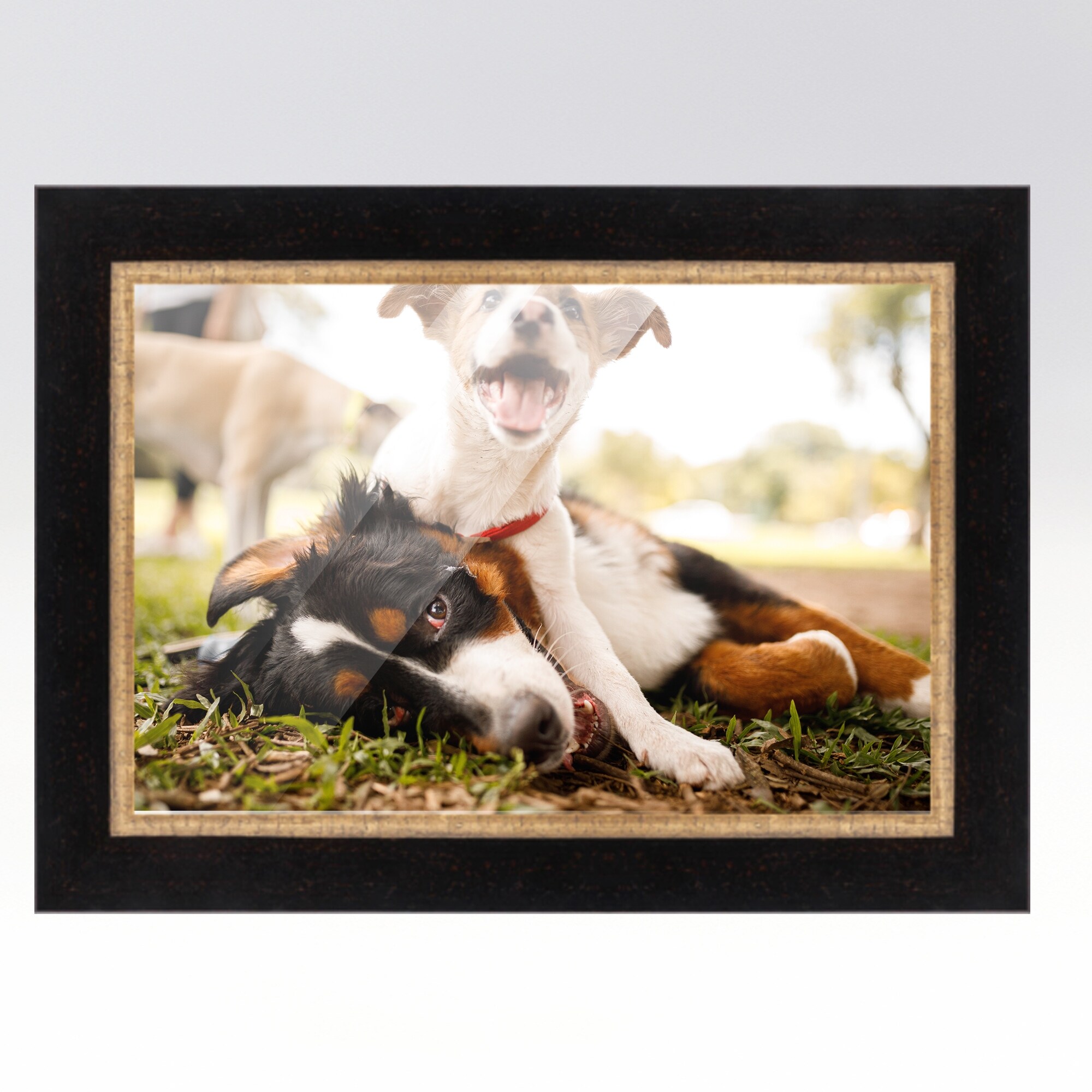 20x24 Frame Gold Real Wood Picture Frame Width 2.25 inches